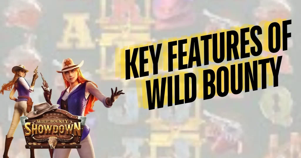 Key Features of Wild Bounty